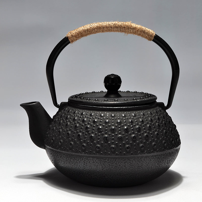 Japanese cast iron teapot