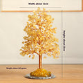 Natural Crystal Money Tree with Pachira Macrocarpa Agate