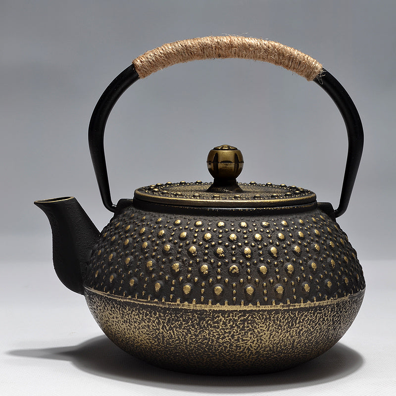 Japanese cast iron teapot