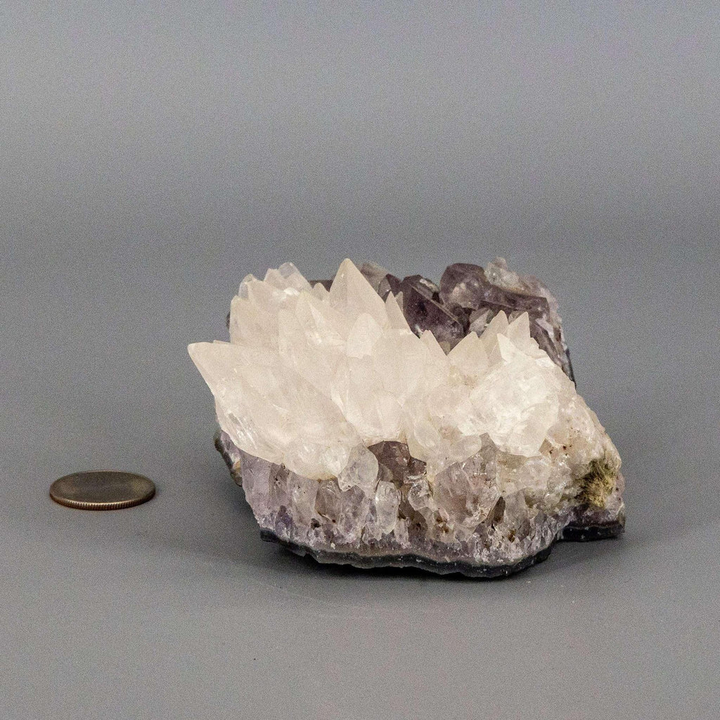 Dogtooth Calcite "Flower" Amethyst Cluster