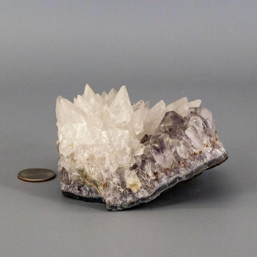 Dogtooth Calcite "Flower" Amethyst Cluster