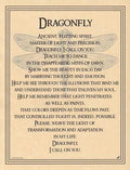Dragonfly poster