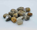 1 lb Agate, Dendritic tumbled