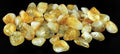 1 lb Citrine tumbled stones