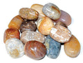 1 lb Coral, Fossil tumbled