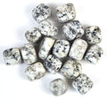 1 lb Jasper, Dalmation tumbled stones