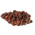 1 Lb Hawthorn Berries whole (Crataegus laevigata)