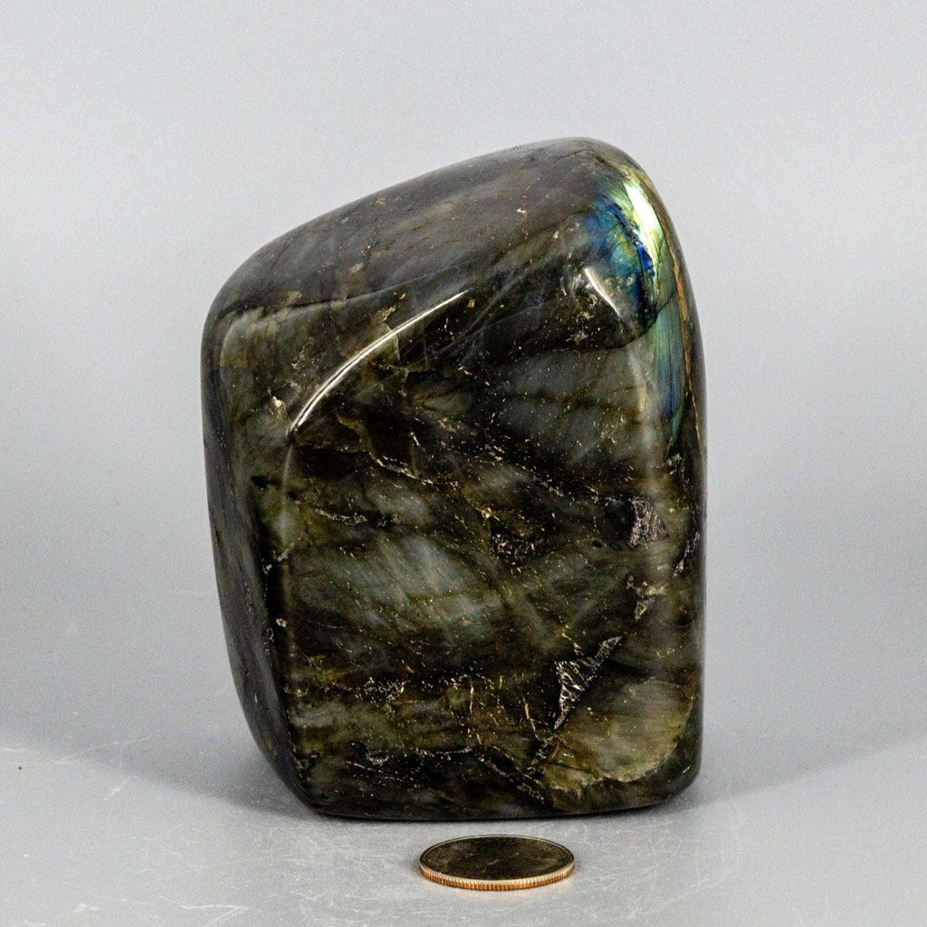 Labradorite XL High Flash Freeform | 1028g Collector Specimen