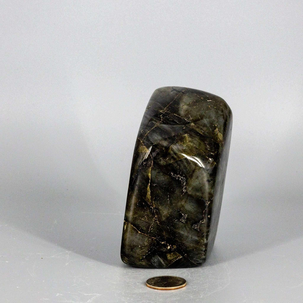 Labradorite XL High Flash Freeform | 1028g Collector Specimen