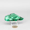 Malachite Slices, Polished Healing Stone