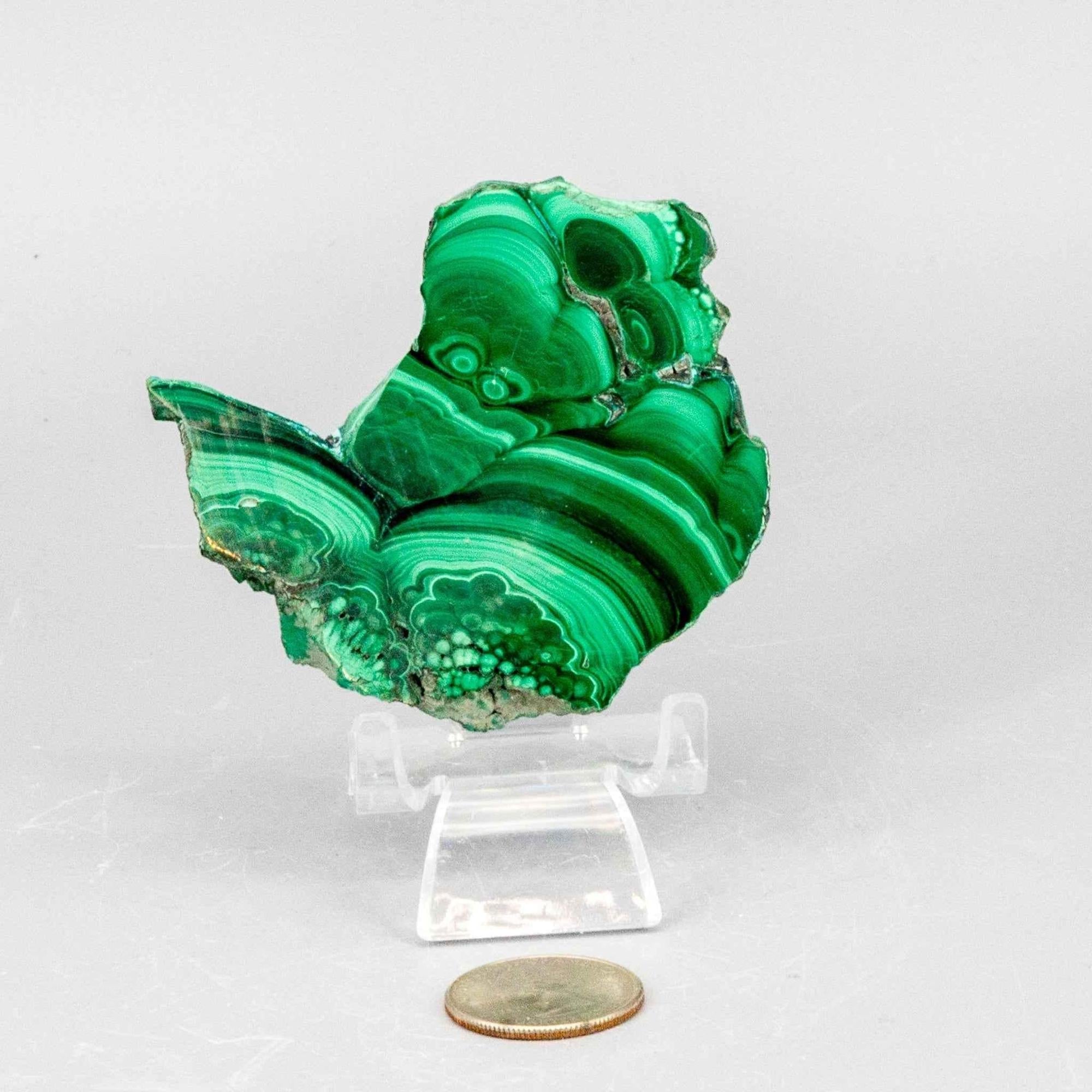Malachite Slices, Polished Healing Stone