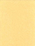 Light Parchment Paper 25 Pack  (8 1/2" x 11")