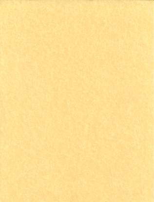 Light Parchment 500 Pack (8 1/2" x 11")