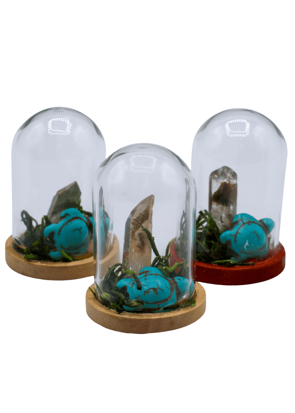 Garden Quartz Terrarium in Glass Dome