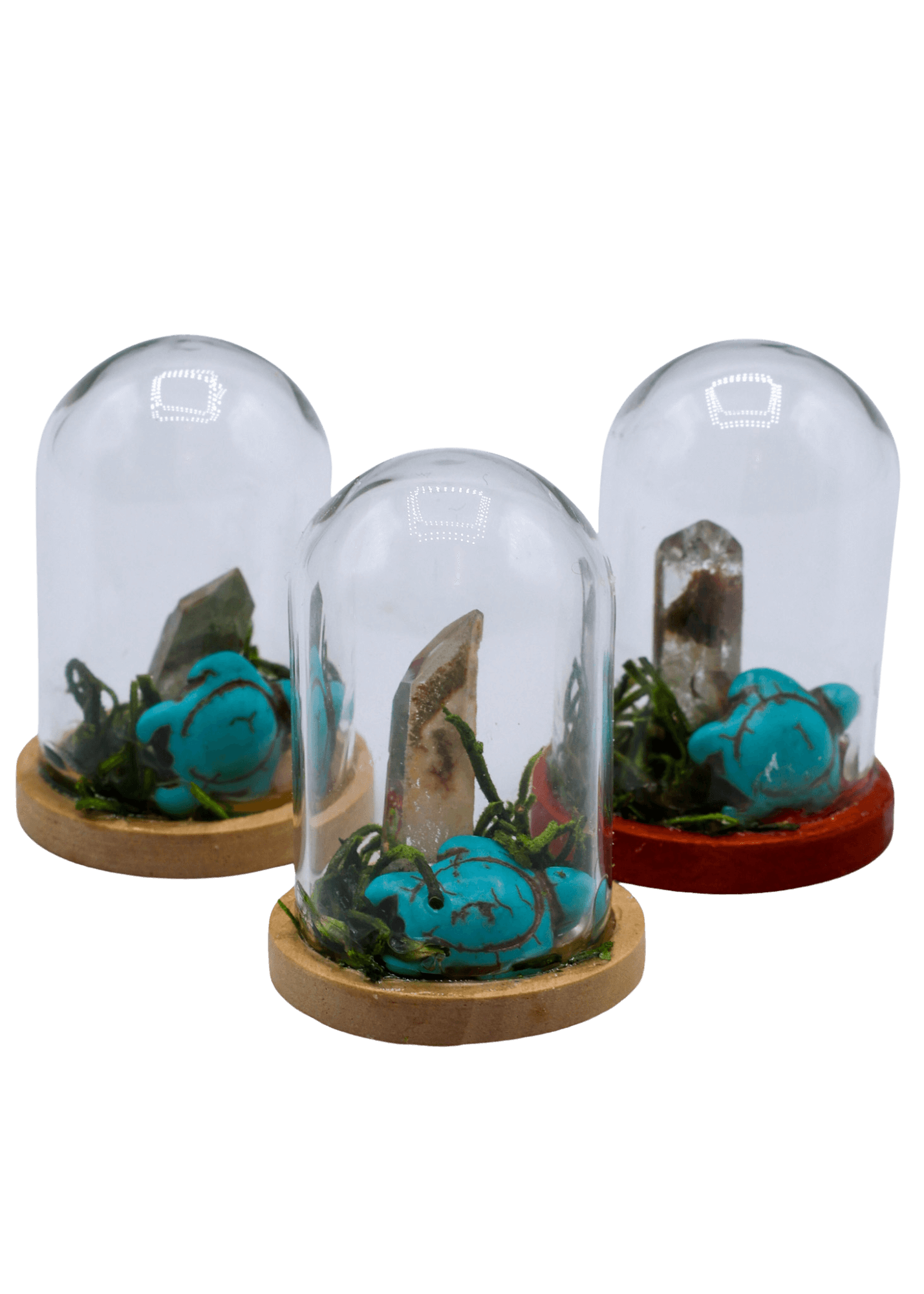 Garden Quartz Terrarium in Glass Dome