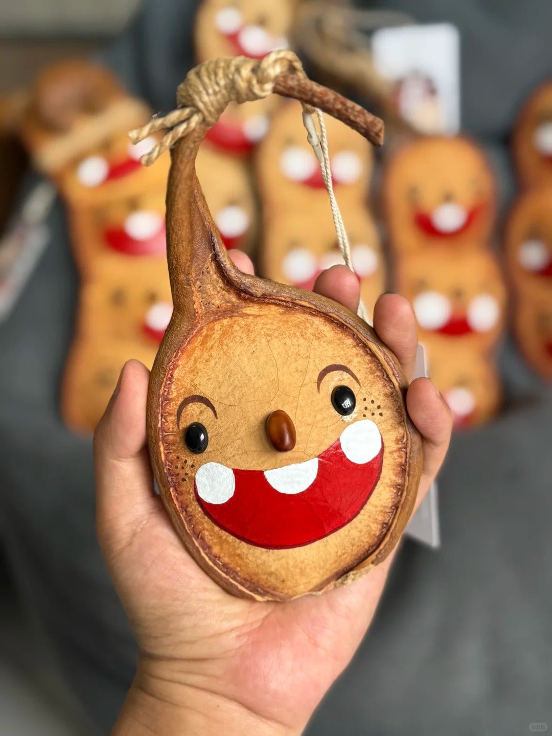 Hand-Painted Giant Entada Pod Ornament – World’s Largest Bean Wall Decor