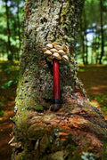 Chacha Oleander Seed Pod Shaker | Handmade Wooden Handle Rainforest Instrument