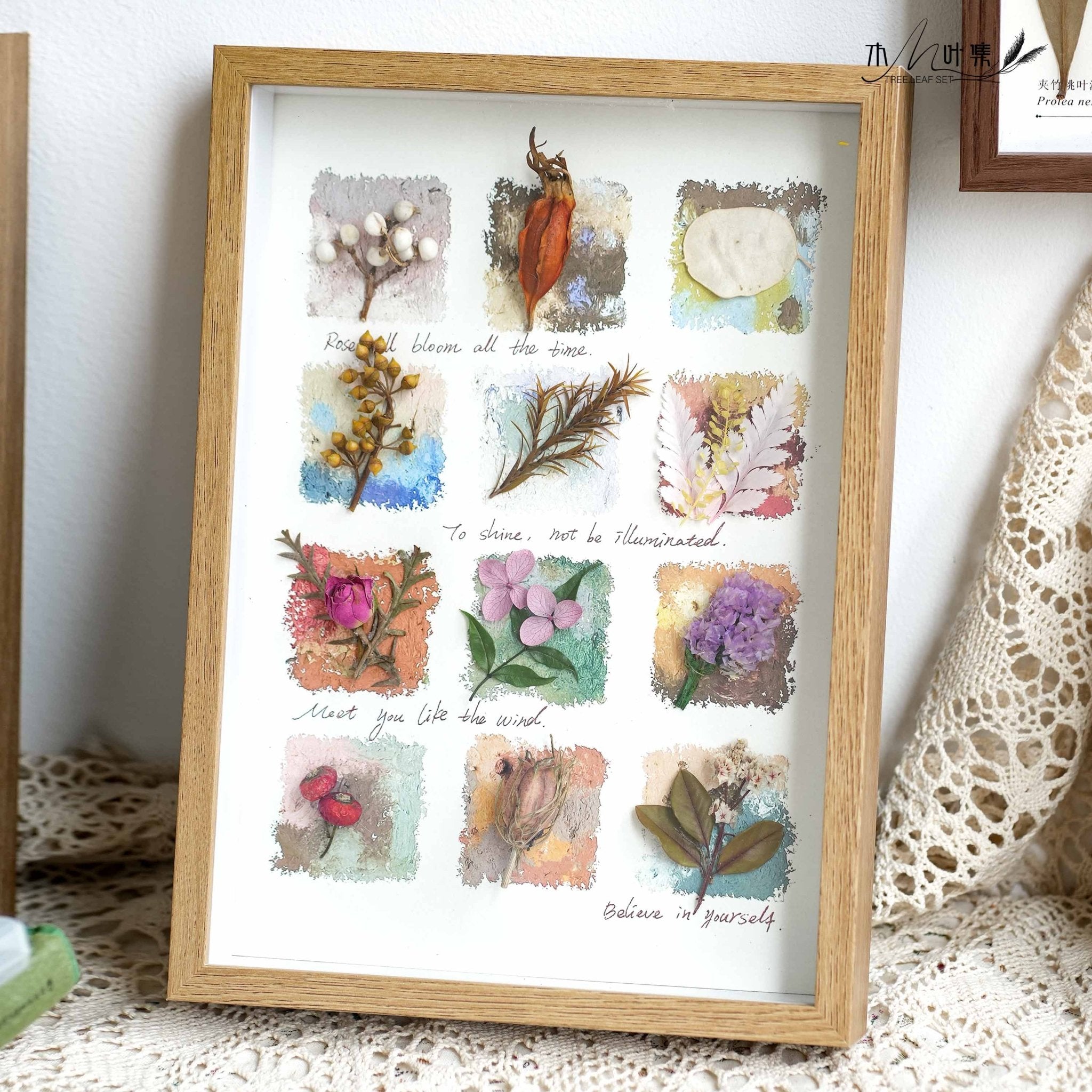 "Nature's Cabinet" Botanical Specimen Shadow Box