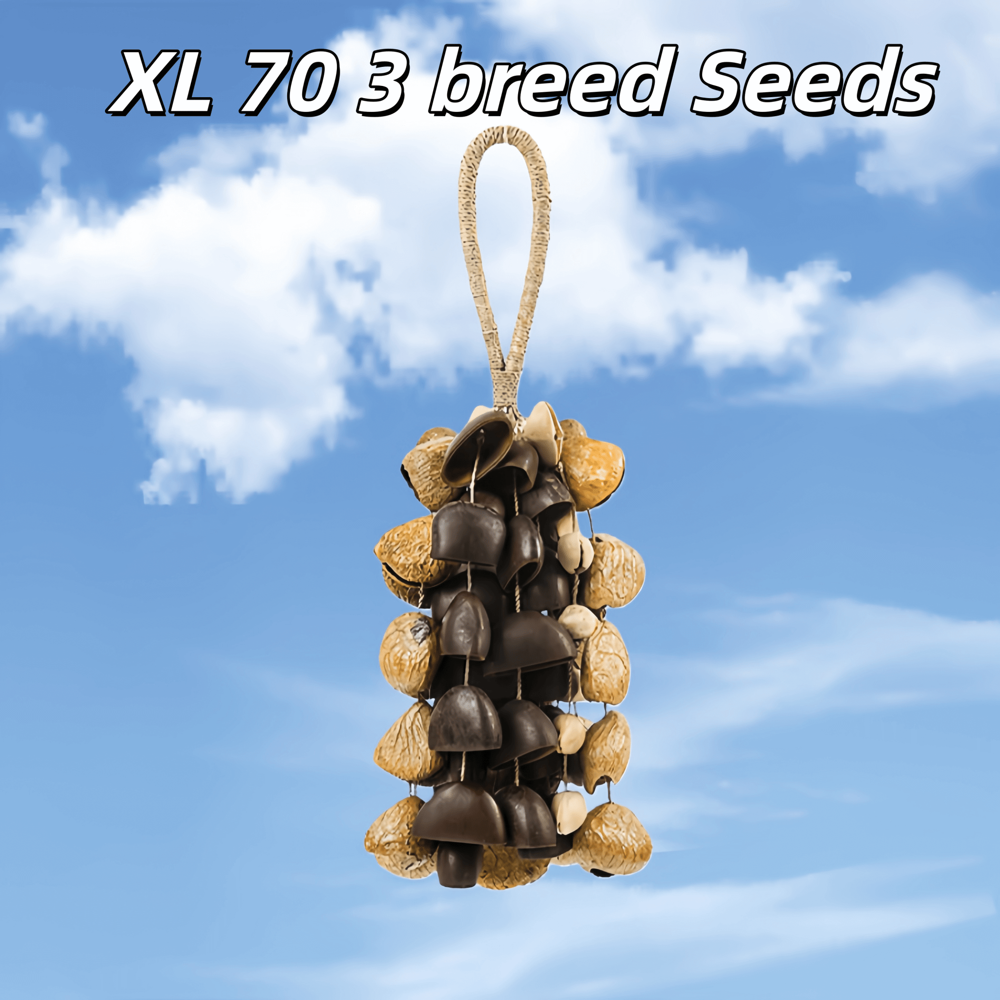 Handmade Mixed Seed Shaker | Hand Bell