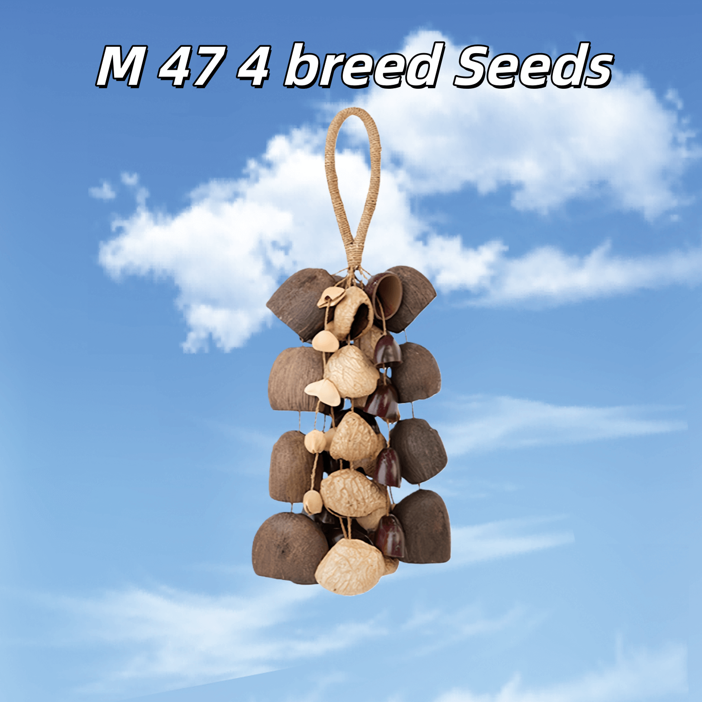 Handmade Mixed Seed Shaker | Hand Bell