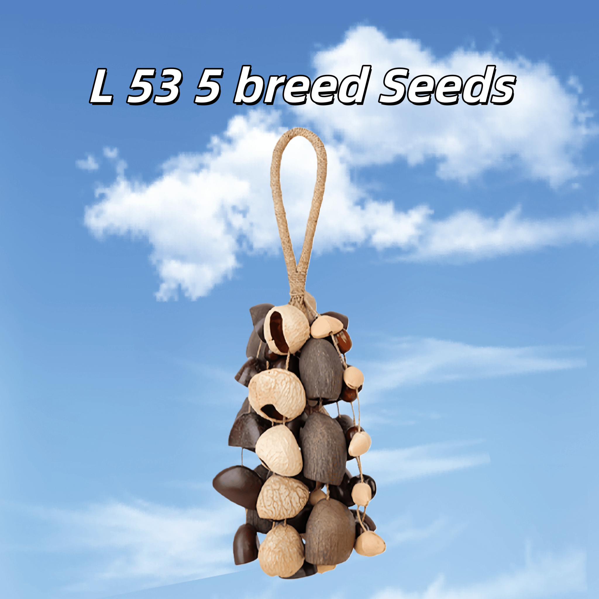 Handmade Mixed Seed Shaker | Hand Bell
