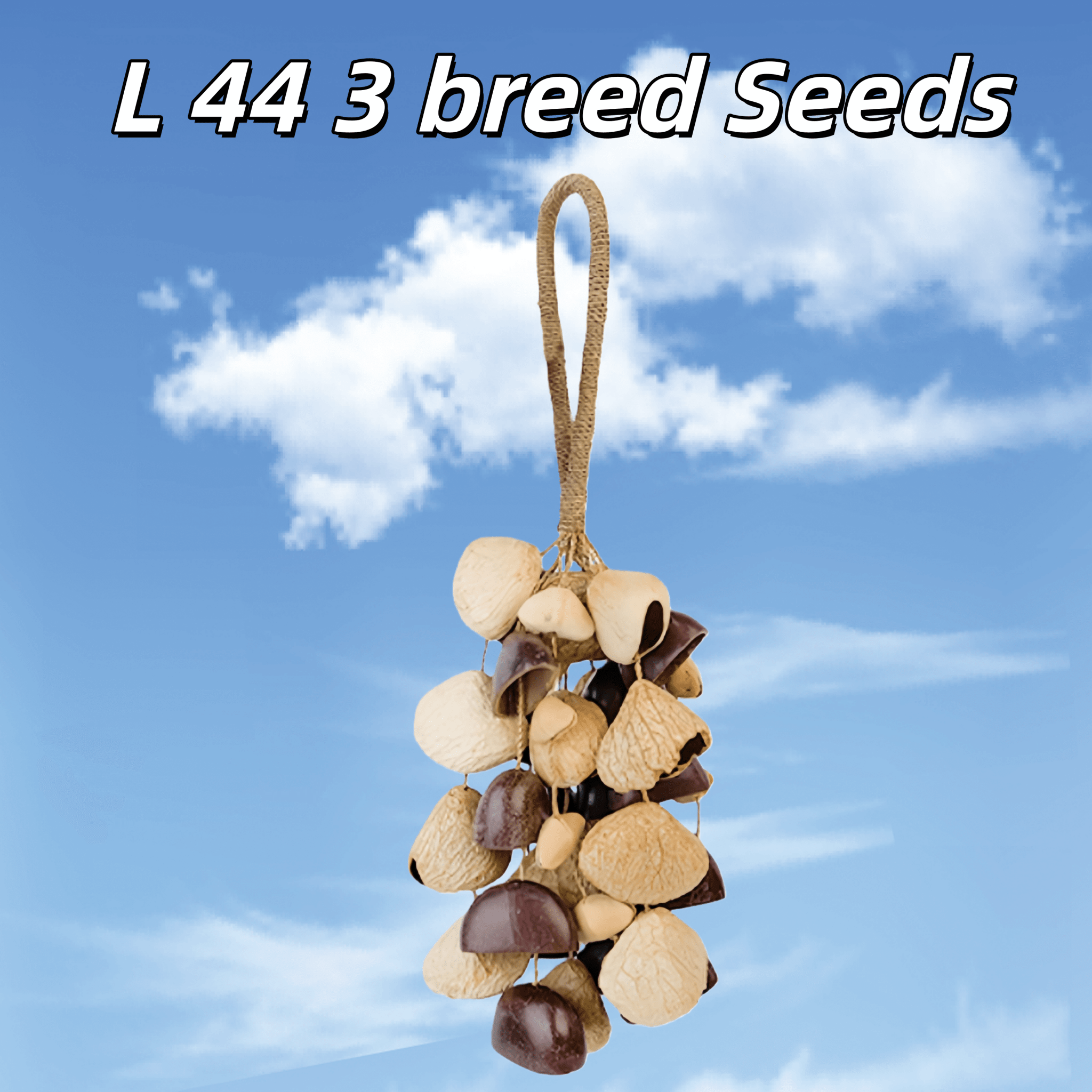 Handmade Mixed Seed Shaker | Hand Bell