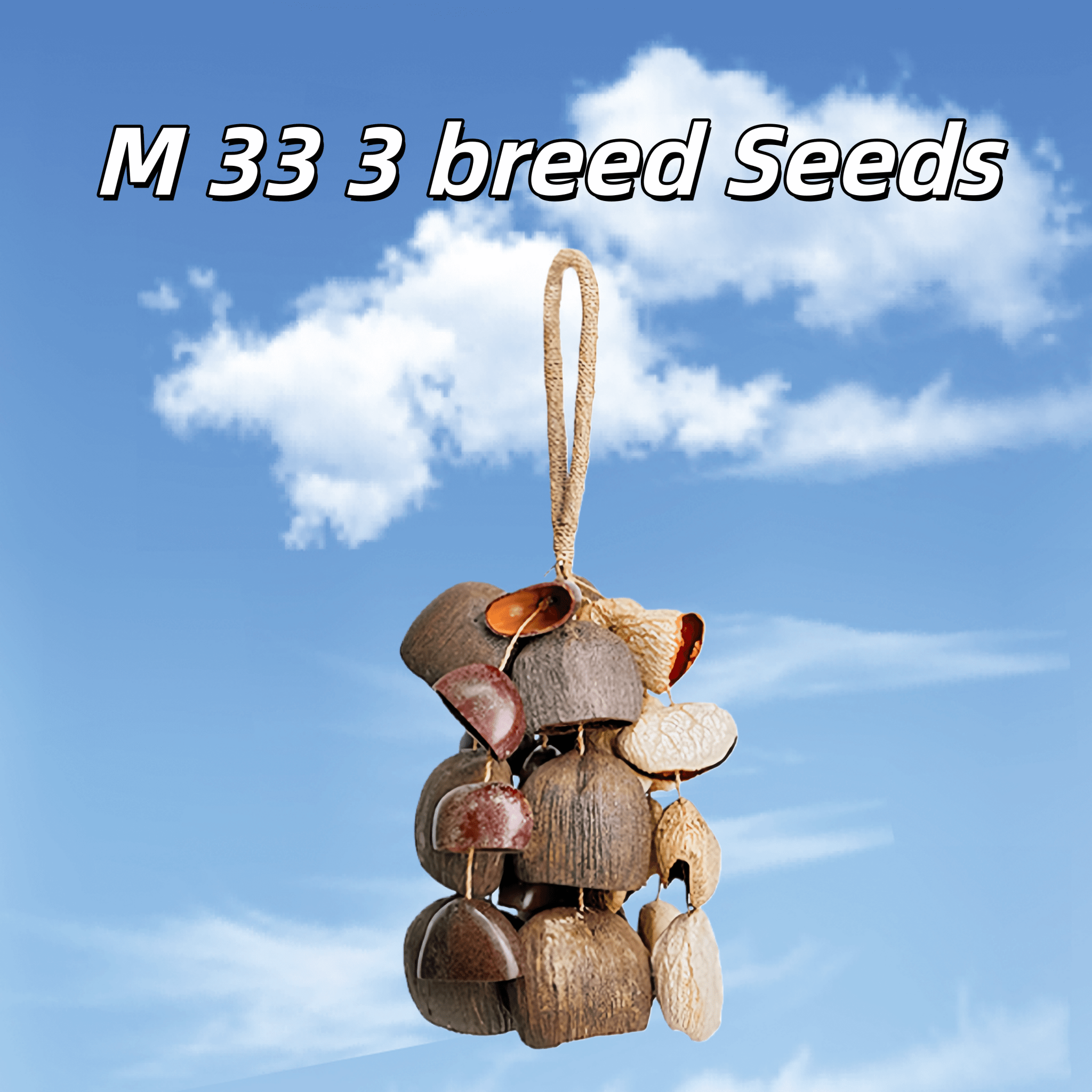 Handmade Mixed Seed Shaker | Hand Bell