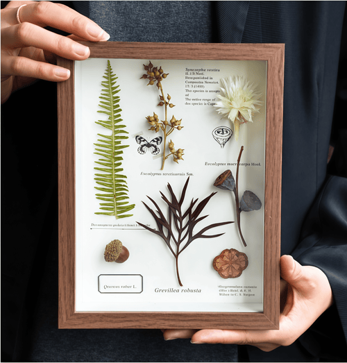 "The Botanist's Journal" Pressed Flower Art Frame
