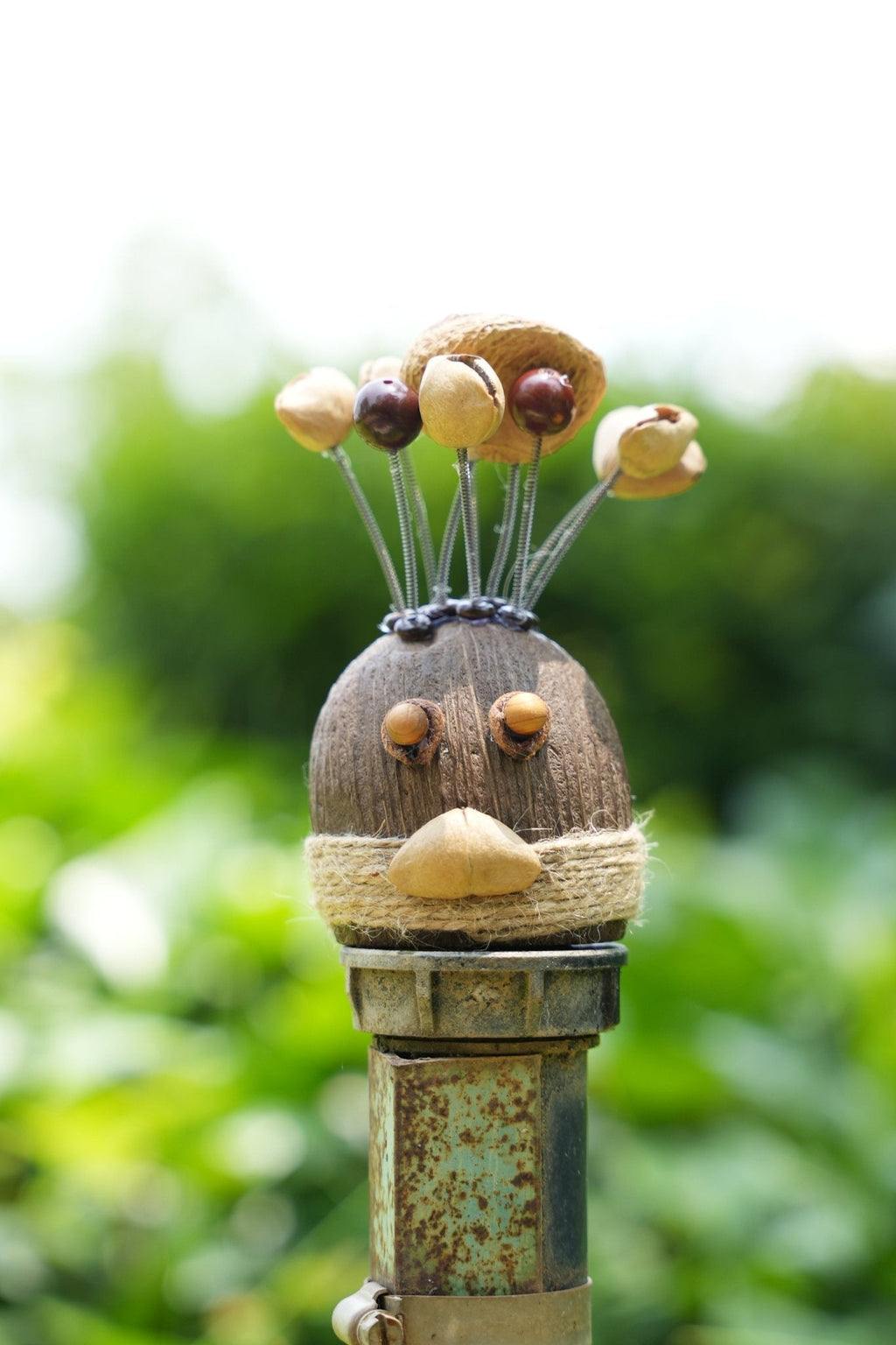 The Crazy Hair Seed Spirit