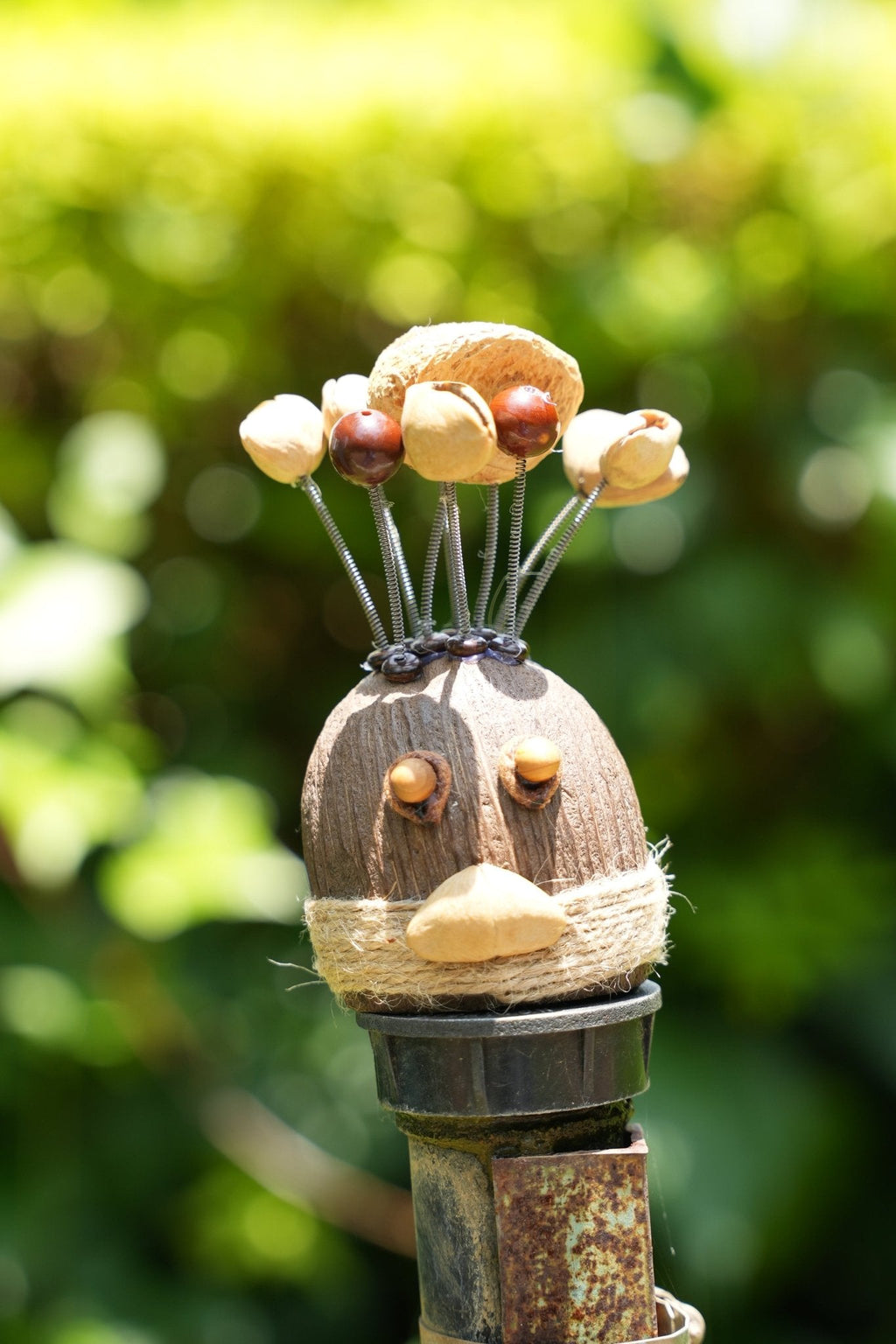 The Crazy Hair Seed Spirit