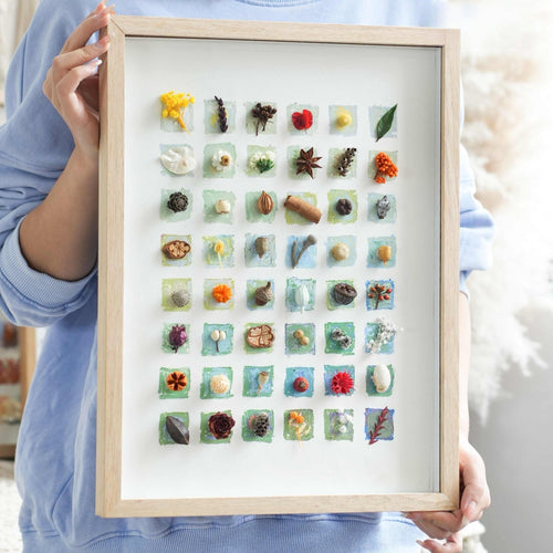 "The Grand Botanical Mosaic" Specimen Shadow Box
